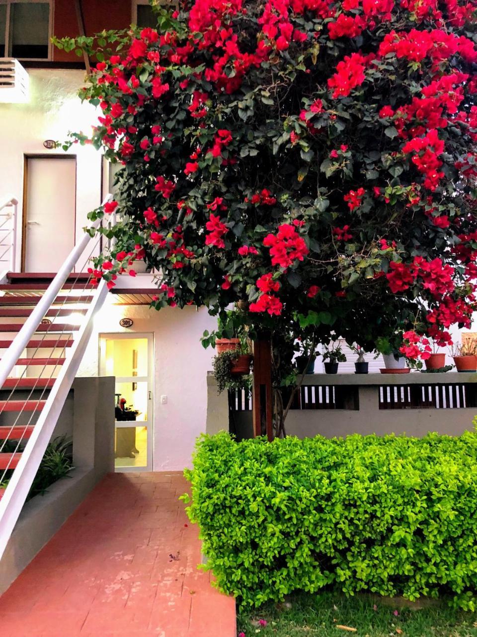 Flat 301 Condominio Villa Hipica - Gravata, Pe Exterior photo